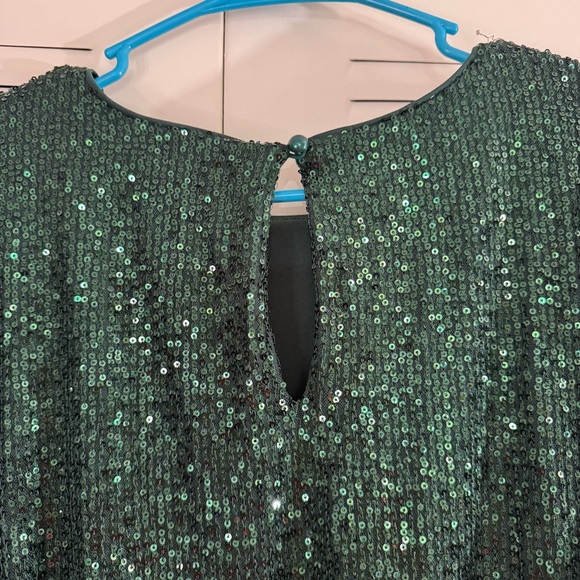 Flat White Sequin Crew Neck Top Green Size Large Party Cocktail Anthropologie - Picture 8 of 13